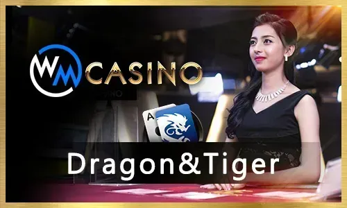 Online Casino Gaming Experience